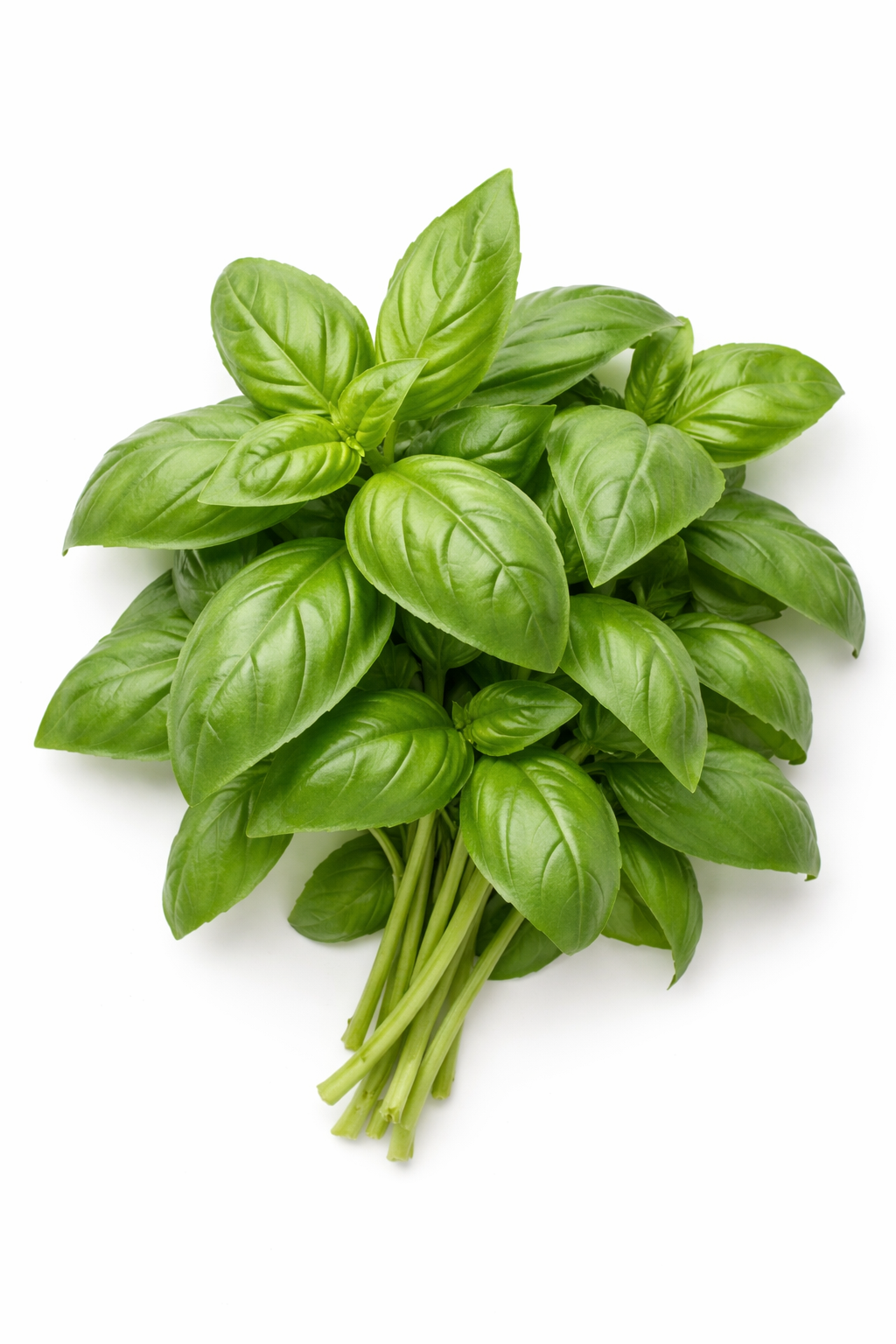 PlantyHub Pods – Босилек (12 броя)