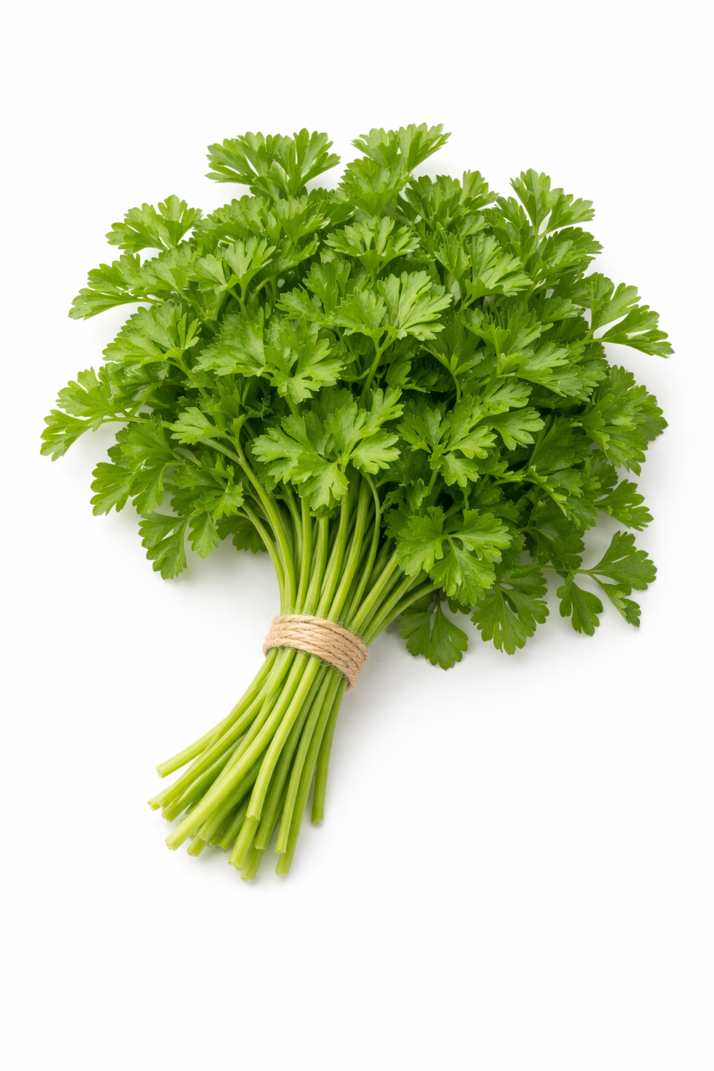 PlantyHub Pods – Магданоз (12 броя)