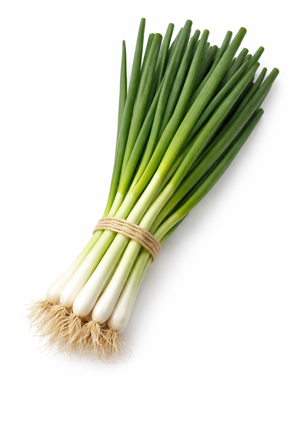 PlantyHub Pods – Зелен лук (12 броя)