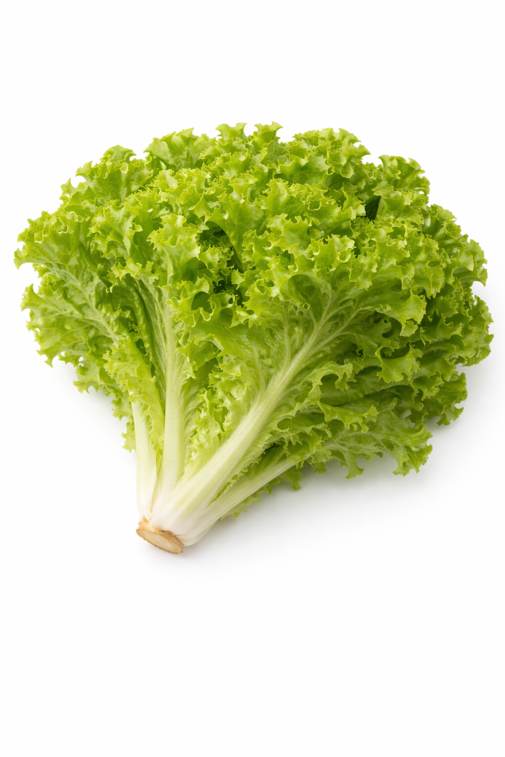 PlantyHub Pods – Салата (12 броя)